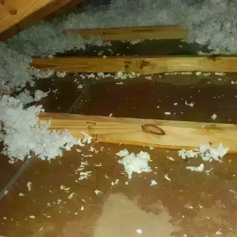 Attic Water Damage in Hood River County, OR