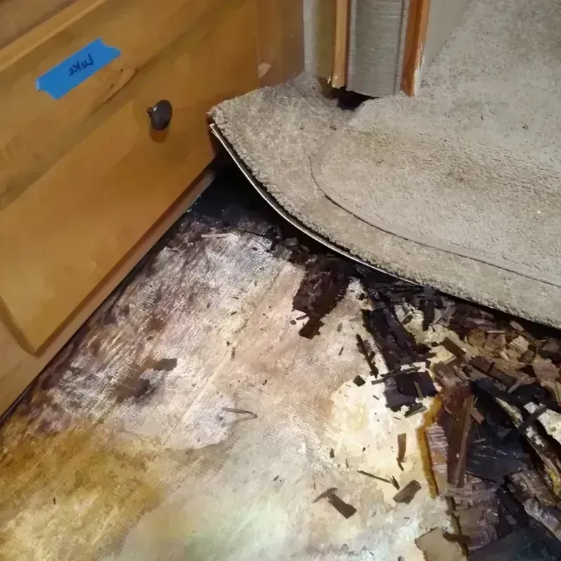 Wood Floor Water Damage in Hood River County, OR